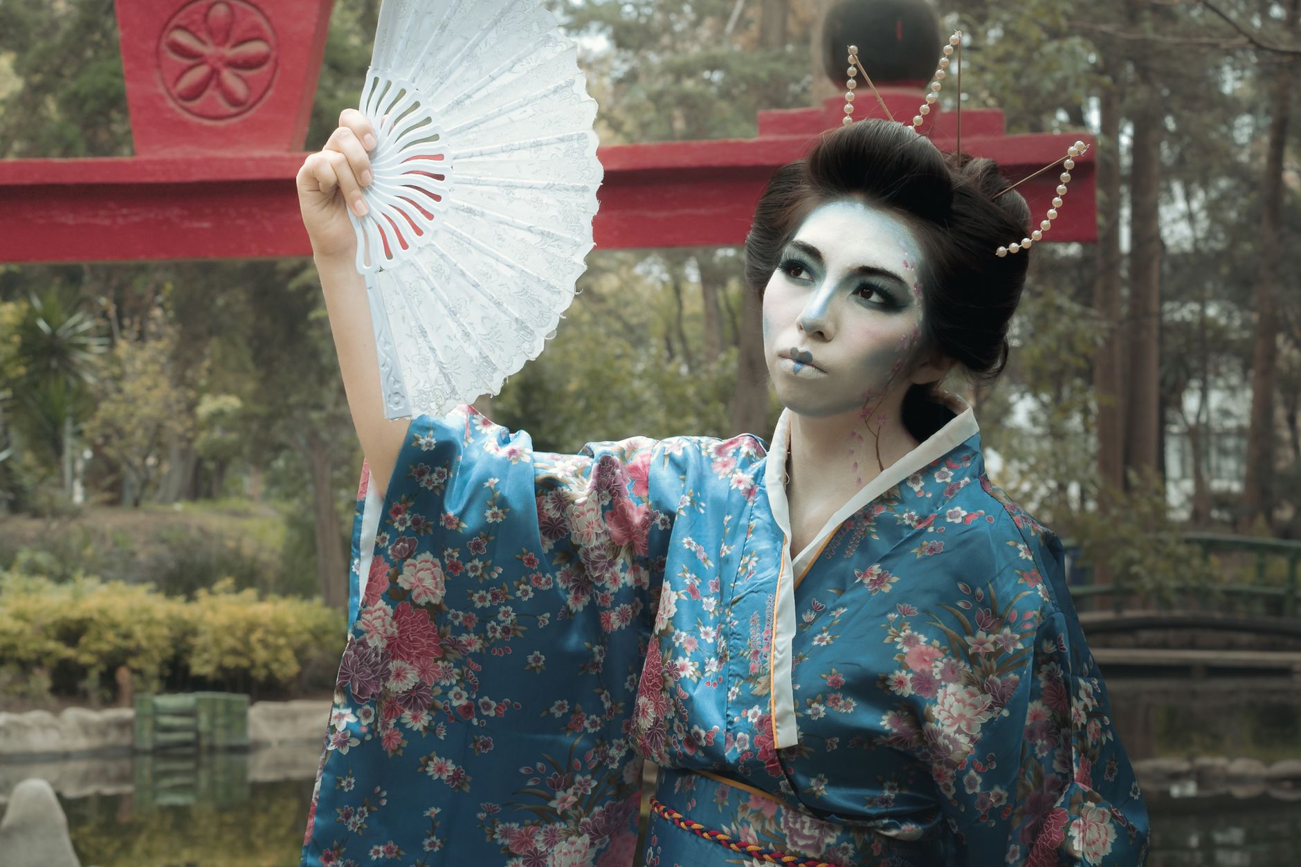 What Geisha Actually Are (Spoiler: Not a Costume)